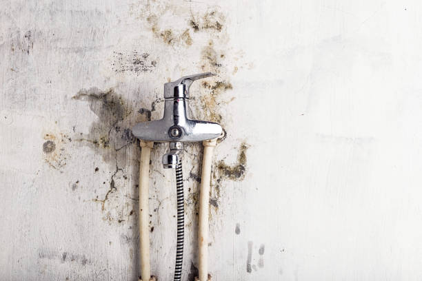Best Local Mold Removal Service  in Raoul, GA