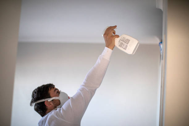 Best Mold Removal Near Me  in Raoul, GA