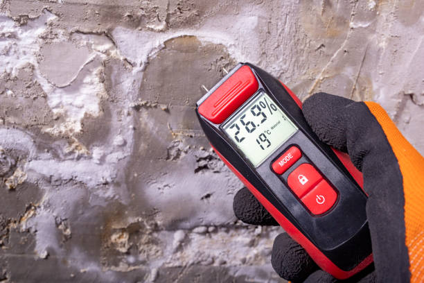 Best Mold Remediation Services  in Raoul, GA