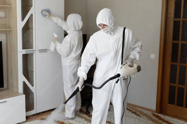 Best Mold Cleaning Services  in Raoul, GA