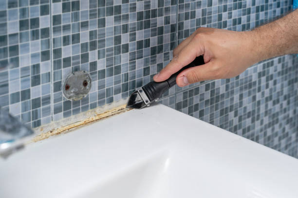 Best Certified Mold Removal  in Raoul, GA