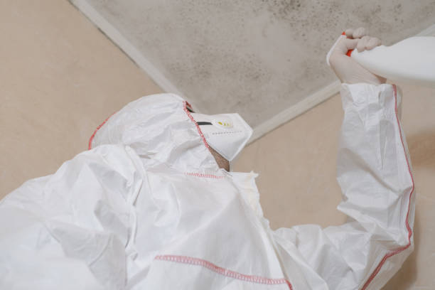 Best Office Mold Removal Services  in Raoul, GA