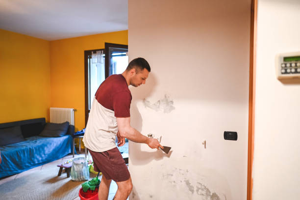 Best Certified Mold Removal  in Raoul, GA